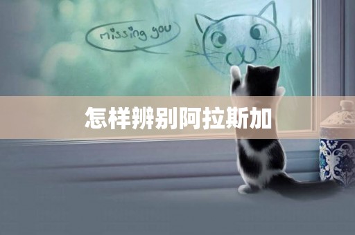 怎樣辨別阿拉斯加