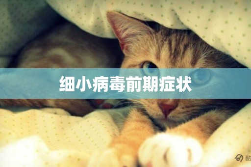 細小病毒前期癥狀