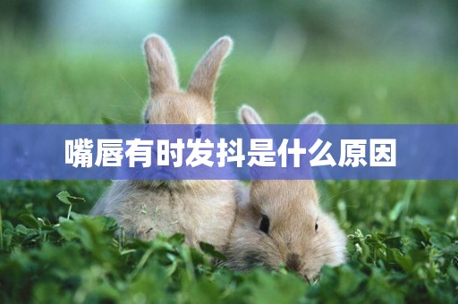 嘴唇有時發抖是什么原因