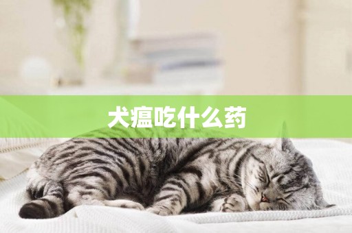 犬瘟吃什么藥