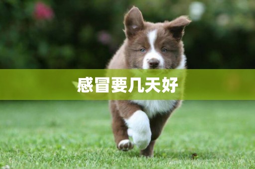 感冒要幾天好