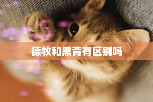 德牧和黑背有區別嗎