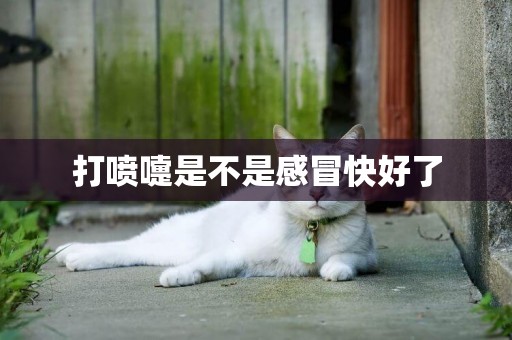 打噴嚏是不是感冒快好了