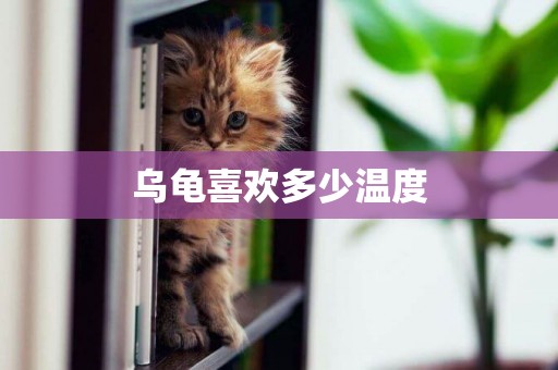 烏龜喜歡多少溫度