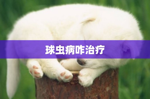 球蟲病咋治療
