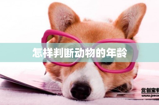 怎樣判斷動物的年齡