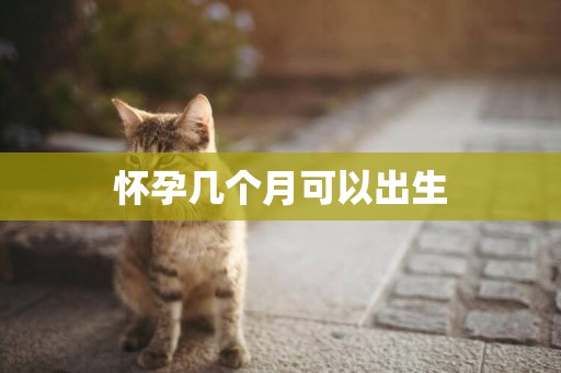 懷孕幾個月可以出生