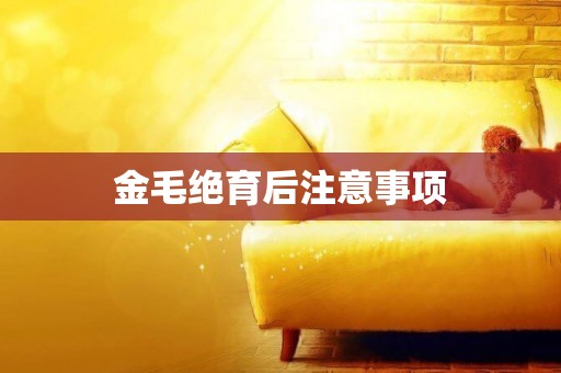 金毛絕育后注意事項