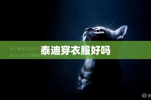 泰迪穿衣服好嗎