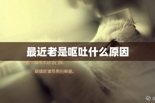 最近老是嘔吐什么原因