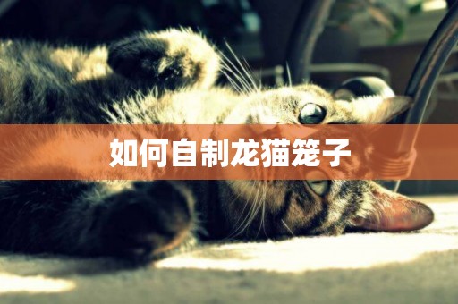 如何自制龍貓籠子