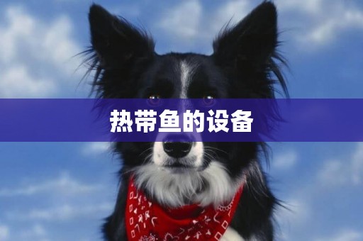 熱帶魚的設備