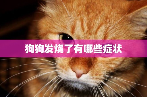 狗狗發燒了有哪些癥狀