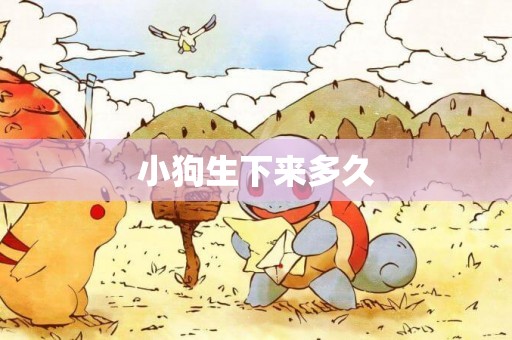 小狗生下來多久