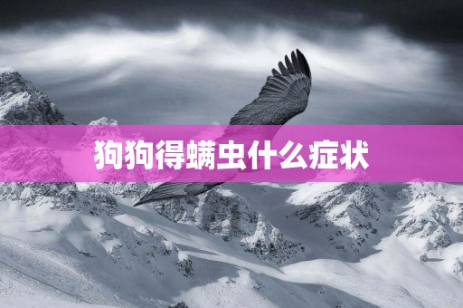 狗狗得螨蟲什么癥狀