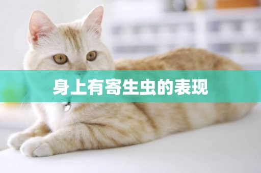 身上有寄生蟲的表現