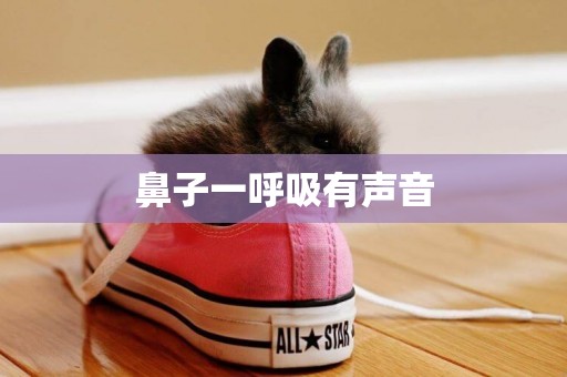 鼻子一呼吸有聲音