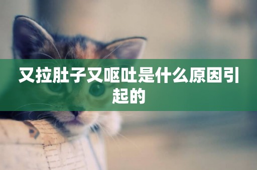 又拉肚子又嘔吐是什么原因引起的