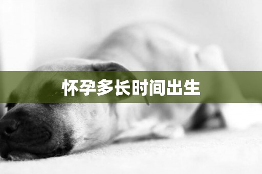 懷孕多長時間出生