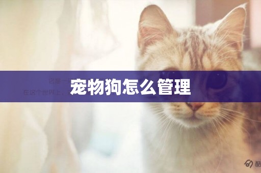 寵物狗怎么管理