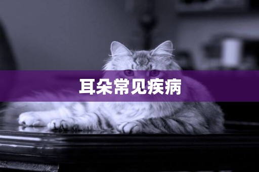 耳朵常見疾病