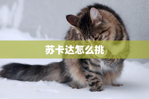 蘇卡達怎么挑