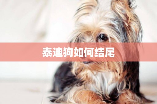 泰迪狗如何結尾