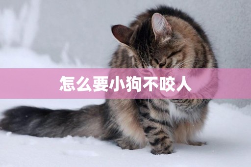怎么要小狗不咬人