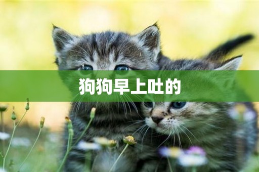 狗狗早上吐的