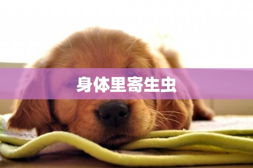 身體里寄生蟲