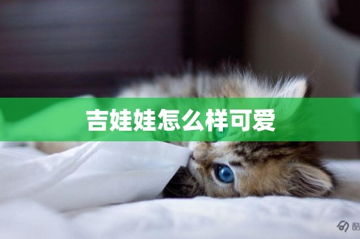 吉娃娃怎么樣可愛