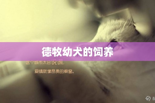 德牧幼犬的飼養