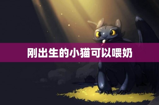 剛出生的小貓可以喂奶