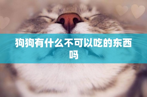 狗狗有什么不可以吃的東西嗎