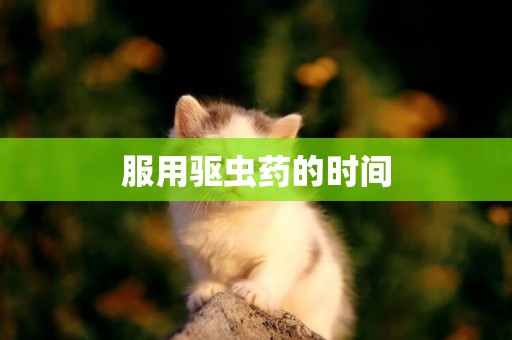 服用驅蟲藥的時間