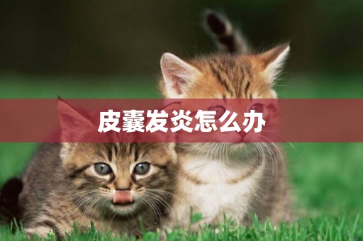 皮囊發炎怎么辦