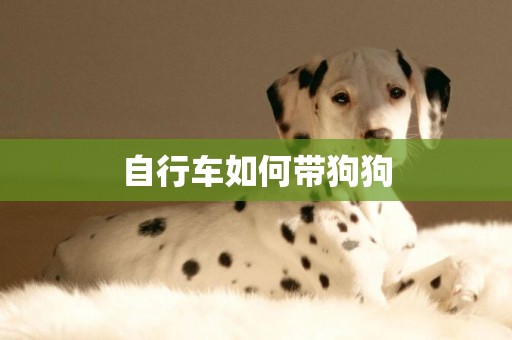 自行車如何帶狗狗