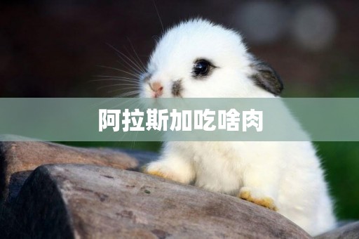 阿拉斯加吃啥肉