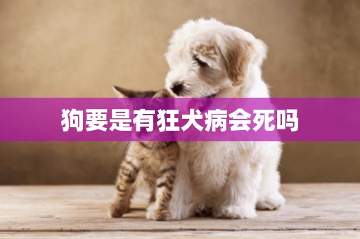 狗要是有狂犬病會死嗎