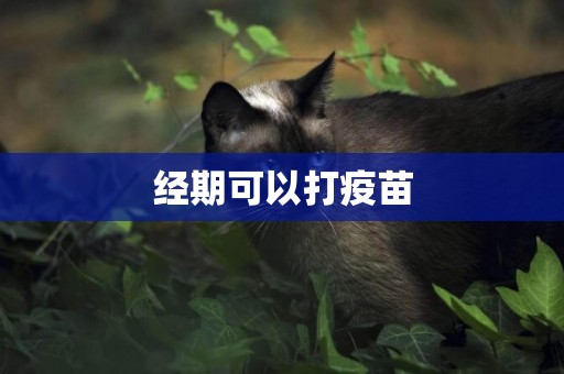 經期可以打疫苗