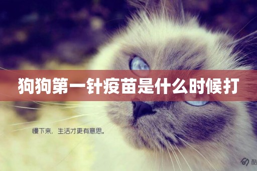狗狗第一針疫苗是什么時候打
