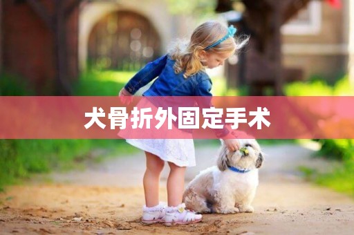 犬骨折外固定手術