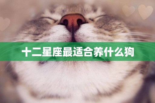 十二星座最適合養什么狗