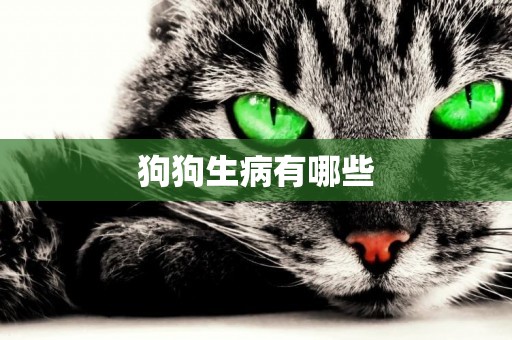 狗狗生病有哪些