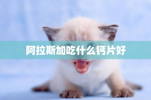阿拉斯加吃什么鈣片好