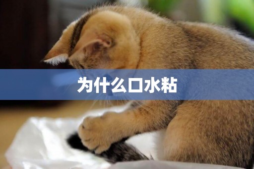 為什么口水粘