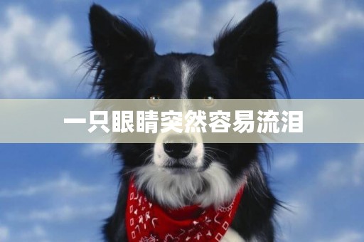 一只眼睛突然容易流淚