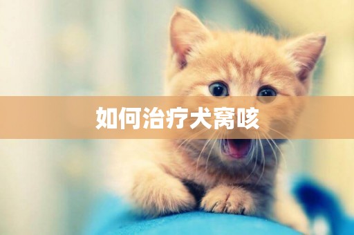 如何治療犬窩咳