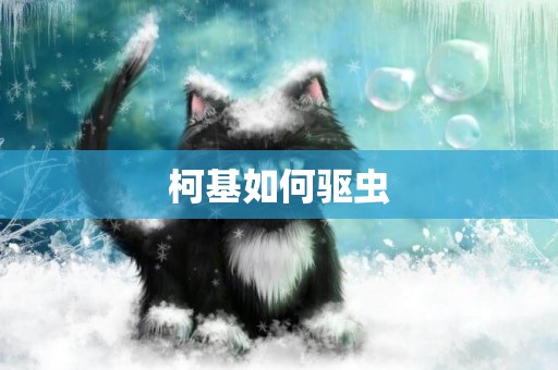 柯基如何驅蟲