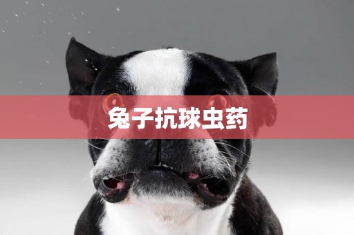 兔子抗球蟲藥